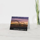 Search for bridges cards Architecture