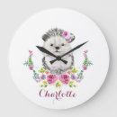 Search for hedgehog clocks Baby