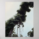 Search for trunk art Branch