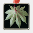 Search for stem christmas tree decorations Leaves