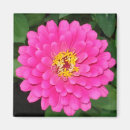 Search for horticulture magnets Floral