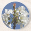Search for spring coasters Blue sky
