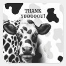 Search for black and white cows stickers Dairy