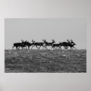 Search for reindeer posters Herd