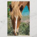 Search for horse flyers Farm
