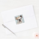 Search for purebred stickers Domestic animals
