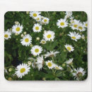 Search for shasta mousepads Floral