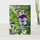 Search for pansies birthday cards Pansy