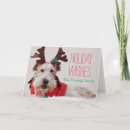 Search for fox terrier cards Photography