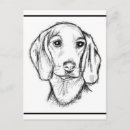 Search for dachshund puppy postcards Animal
