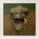 Search for ostrich puzzles Feathers