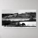 Search for winter white posters Cold