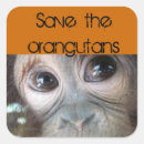 Search for save animals stickers Orangutans