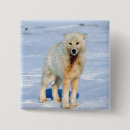 Search for wolf badges Outdoors