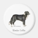Search for colly magnets Herding
