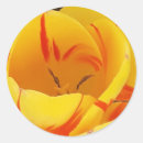 Search for yellow tulips stickers Floral