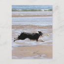 Search for enjoyment postcards Outdoors