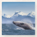 Search for breaching kitchen dining Ocean