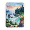 Search for rims magnets Pacific rim
