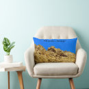 Search for environment cushions Climate change