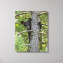 Search for climb canvas prints Bear