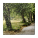 Search for path tiles Landscapes