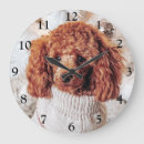 Search for poodle clocks Puppy