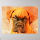 Search for boxer dog art Pet