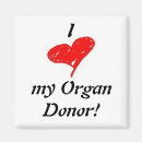 Search for organs magnets Lungs