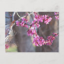 Search for cute mother postcards Children