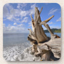Search for driftwood coasters Nautical