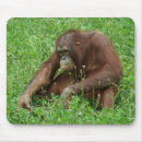 Search for sit mousepads Animal