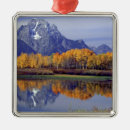 Search for autumn christmas tree decorations Mountain