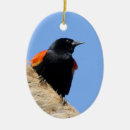 Search for blackbird christmas tree decorations Birds