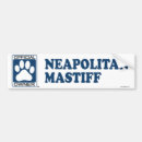 Search for mastiff bumper stickers Pet