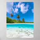 Search for coconuts posters Tropics