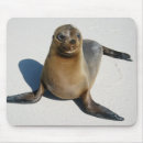 Search for galapagos mousepads Wildlife