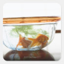 Search for indoor stickers Plant