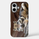 Search for wolf cases Nature