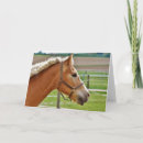 Search for horse note cards Beautiful