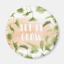 Search for tropical round magnets Palm tree
