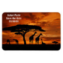 Search for african magnets Giraffe