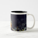 Search for sea anemone mugs Sealife