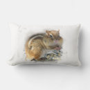 Search for black squirrel cushions Nature