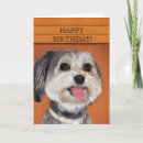 Search for havanese dog cards Dogs