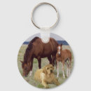 Search for dog sport key rings Labrador
