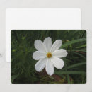Search for drop leafs cards Flower