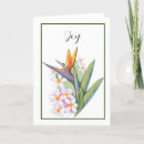 Search for eden cards Blank