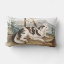 Search for hare cushions Mammal