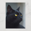 Search for thinking cat postcards Kitty